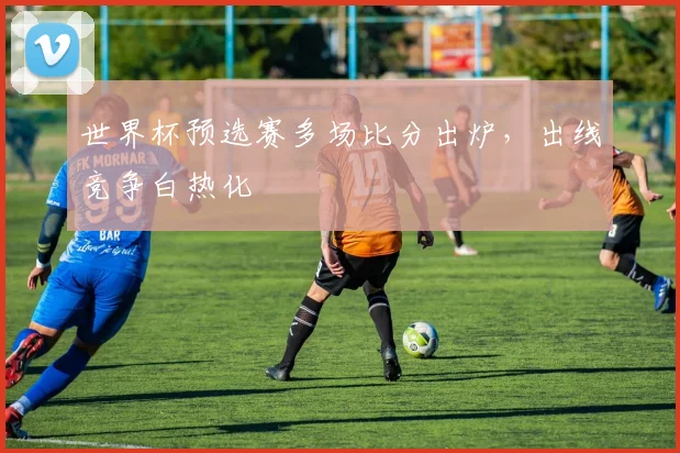 世界杯预选赛多场比分出炉,出线竞争白热化