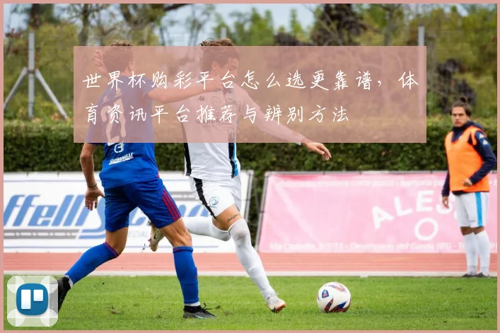 世界杯购彩平台怎么选更靠谱,体育资讯平台推荐与辨别方法